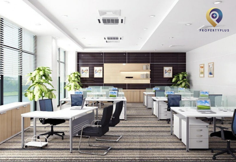 Hướng văn phòng hợp tuổi Mậu Dần