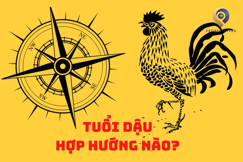 Tuổi Dậu Hợp Hướng Nào