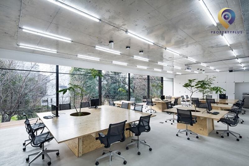 Tuổi Đinh Mão Hợp Hướng Nào