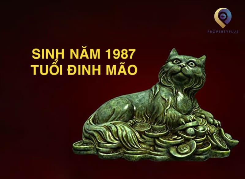 Tuổi Đinh Mão 1987 Hợp Hướng Nào