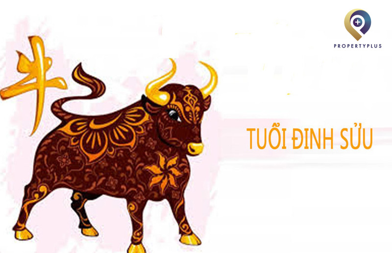 Tuổi Đinh Sửu hợp hướng nào