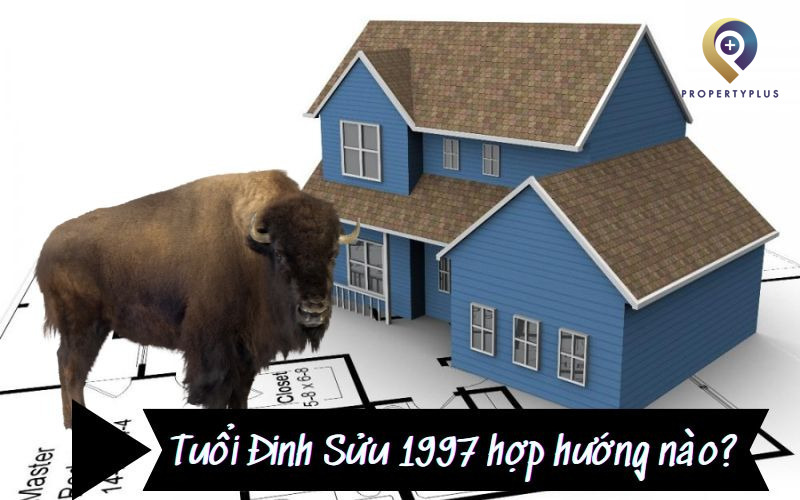 Tuổi Đinh Sửu 1997 Hợp Hướng Nào