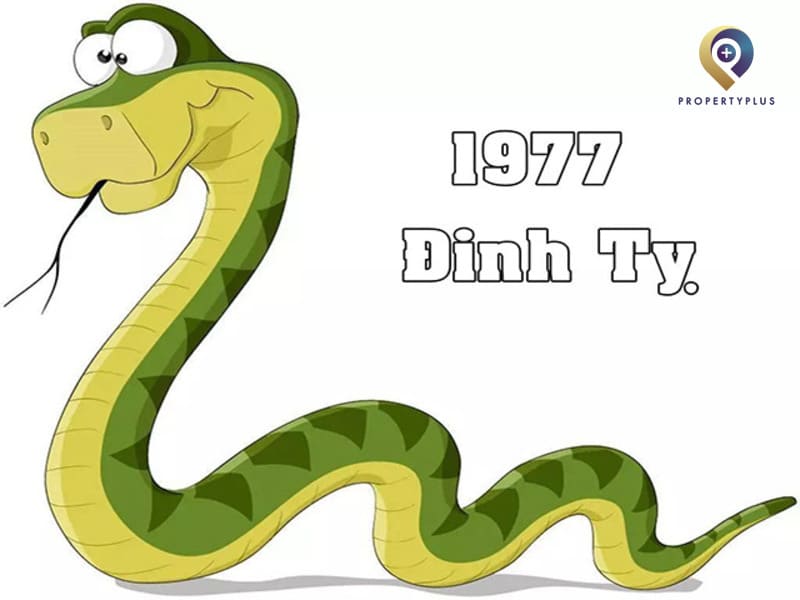 tuổi đinh tỵ hợp hướng nào