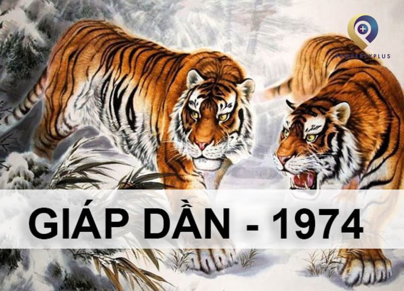 tuổi giáp dần hợp hướng nào