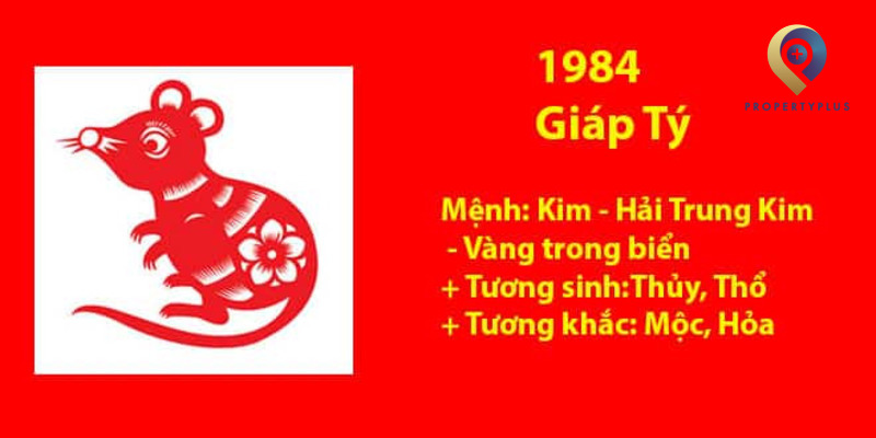 Tuổi Giáp Tý Hợp Hướng Nào