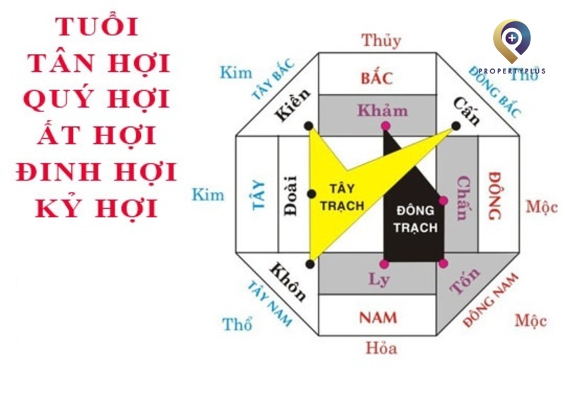 Hướng văn phòng hợp tuổi Đinh Hợi 1947