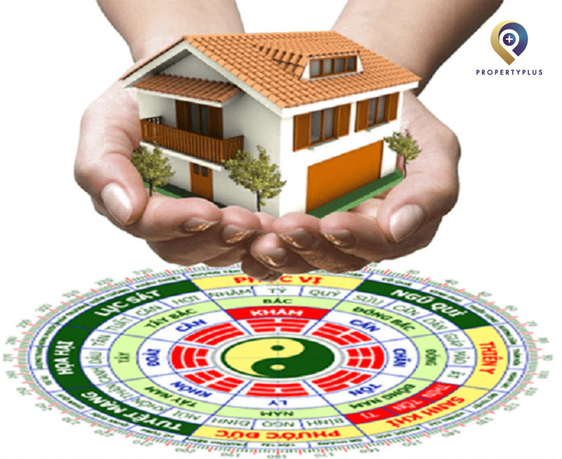 Những lưu ý khi bố trí văn phòng cho người tuổi Hợi