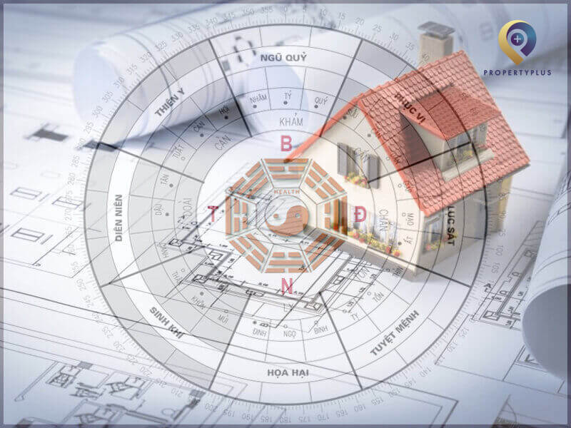 Hướng hợp cho người tuổi Hợi