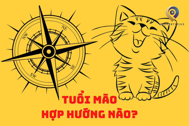 Tuổi Mão Hợp Hướng Nào