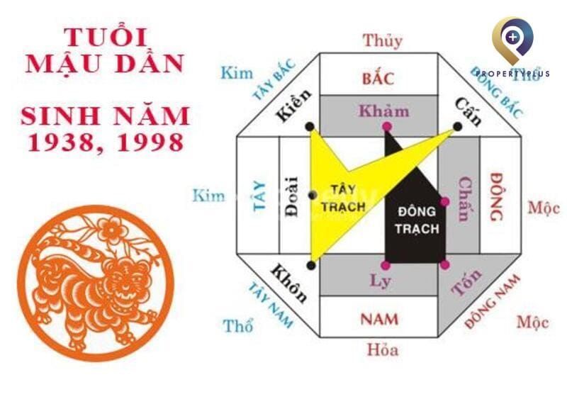 tuổi mậu dần 1998 hợp hướng nào