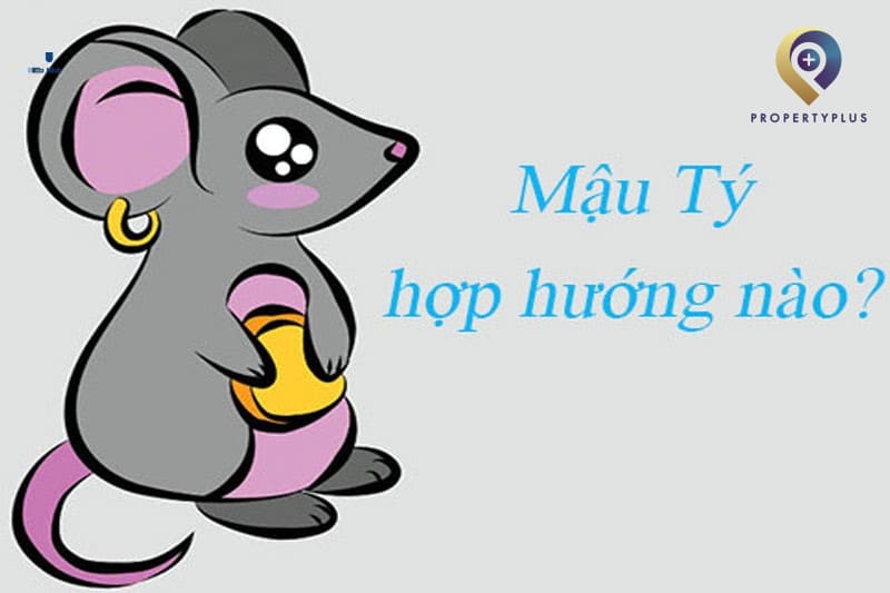 Tuổi Mậu Tý Hợp Hướng Nào
