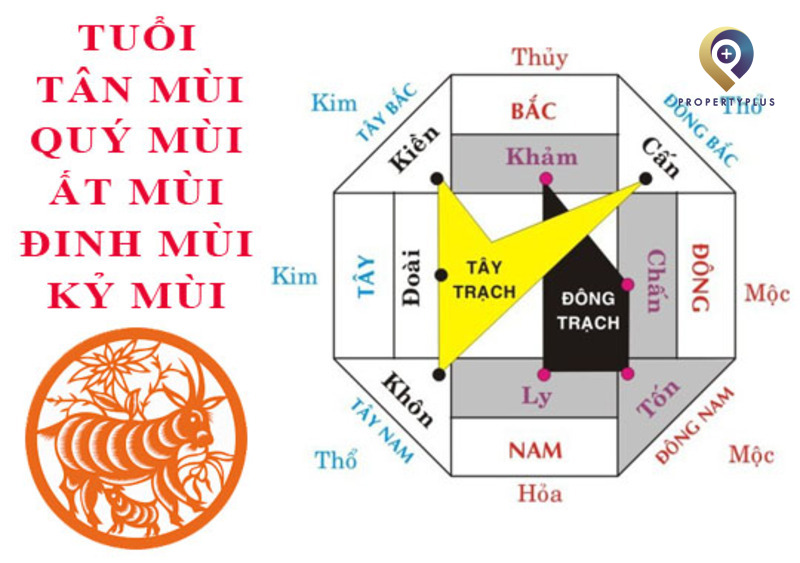 Tuổi Mùi Hợp Hướng Nào