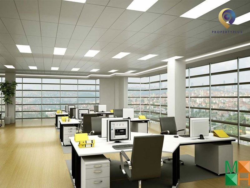 Tuổi Mùi Hợp Hướng Nào