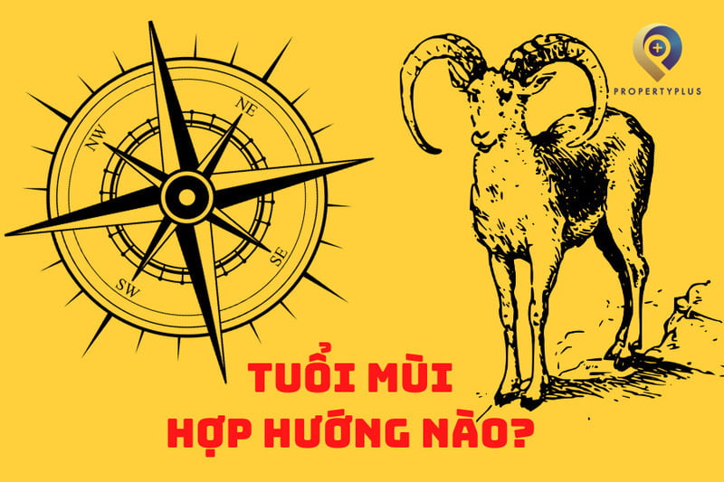 Tuổi Mùi Hợp Hướng Nào