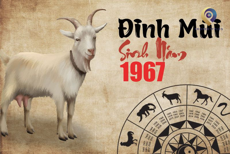 Hướng văn phòng hợp tuổi Đinh Mùi 1967