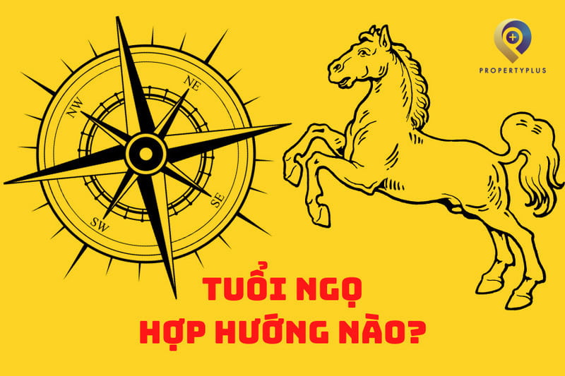Tuổi Ngọ Hợp Hướng Nào