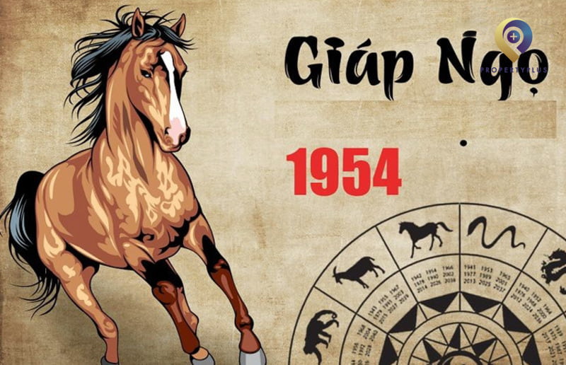 Hướng văn phòng hợp tuổi Giáp Ngọ 1954