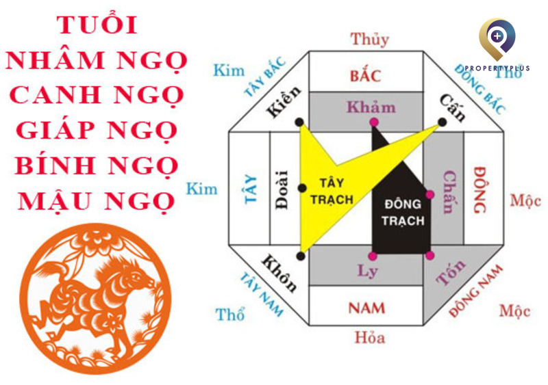 Tuổi Ngọ Hợp Hướng Nào