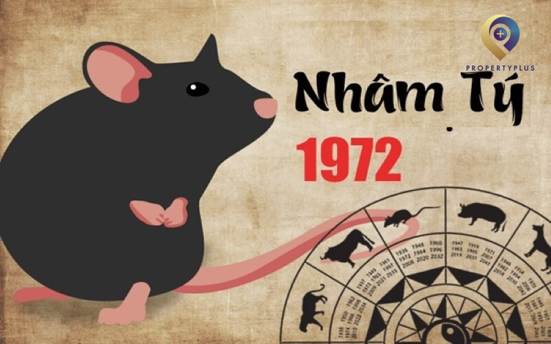 Nam Nhâm Tý hợp hướng nào?