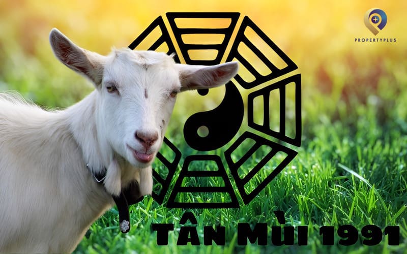 tuổi tân mùi hợp hướng nào