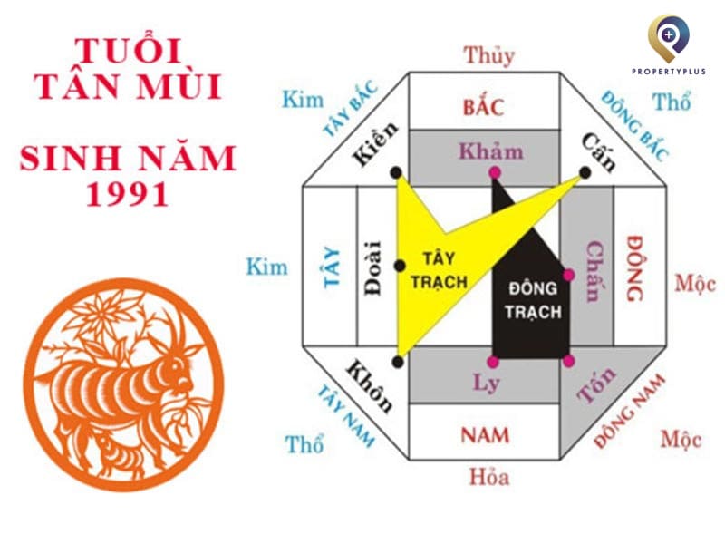 tuổi tân mùi hợp hướng nào