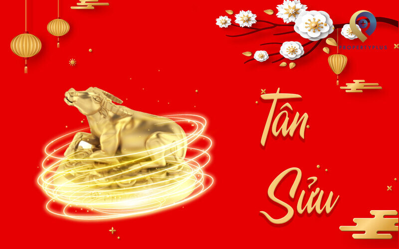 tân sửu hợp hướng nào