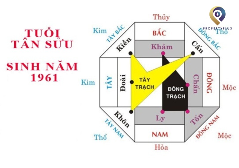 Tuổi Tân Sửu 1961 Hợp Hướng Nào
