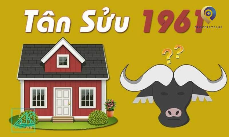 tuổi tân sửu 1961 hợp hướng nào
