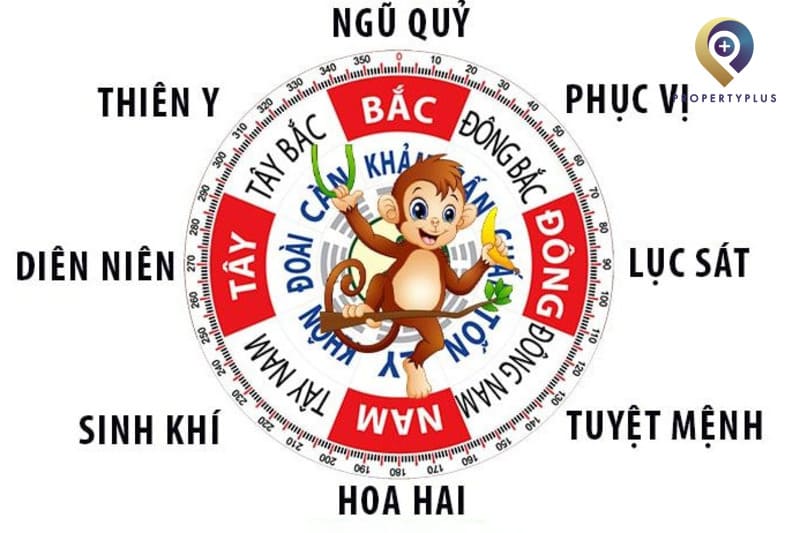 Tuổi Thân hợp hướng nào? Tổng hợp hướng văn phòng Đại cát Đại lợi
