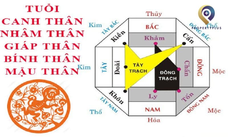 Những lưu ý khi bố trí văn phòng cho người tuổi Thân