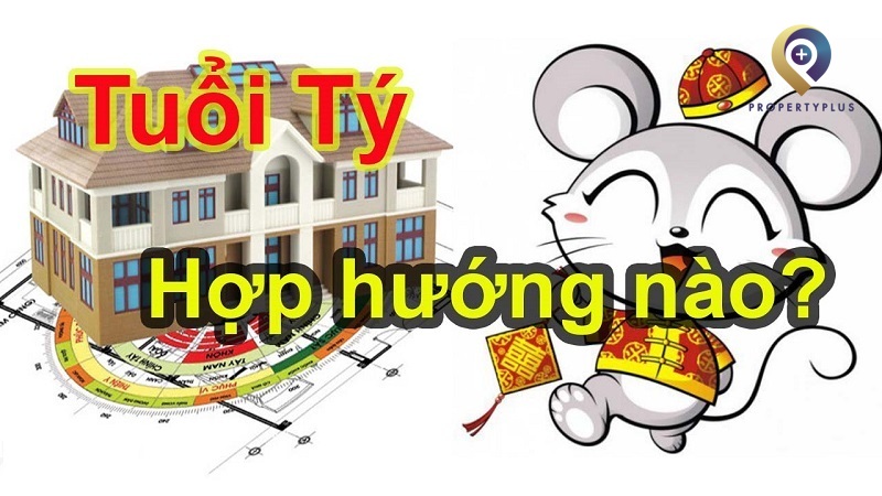 Tuổi Tý Hợp Hướng Nào
