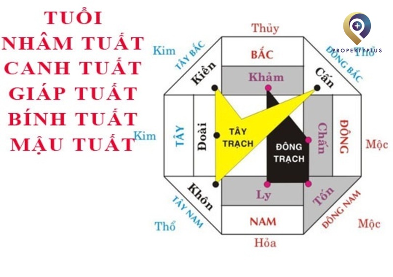 Hướng văn phòng hợp tuổi Bính Tuất (1946)