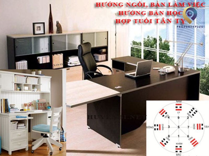 Những lưu ý khi bố trí văn phòng cho người tuổi Tỵ