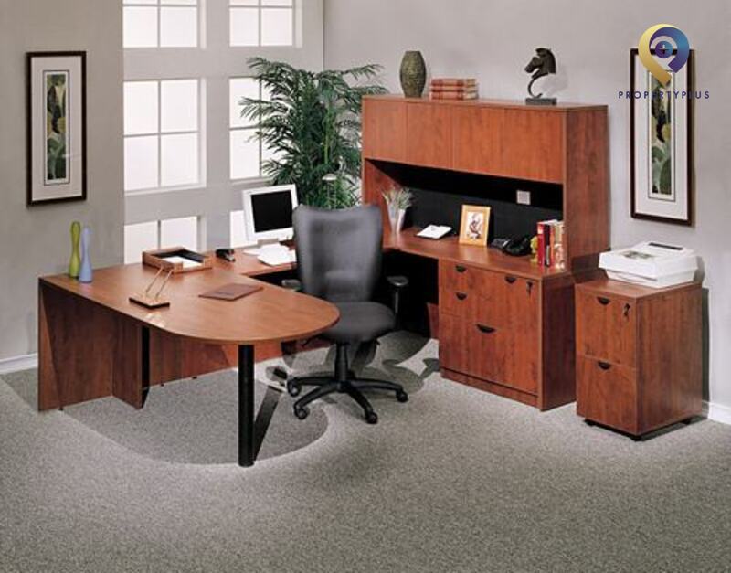 Cách hóa giải hướng văn phòng không hợp cho người tuổi Tỵ