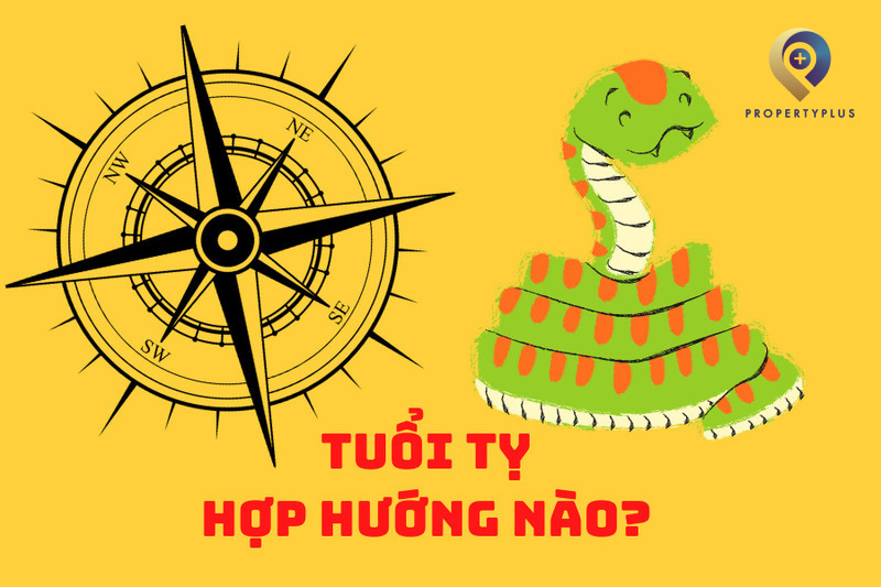 Tuổi Tỵ Hợp Hướng Nào