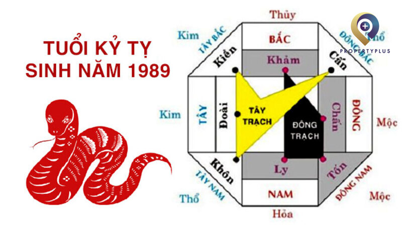 Hướng văn phòng hợp tuổi Kỷ Tỵ 1989