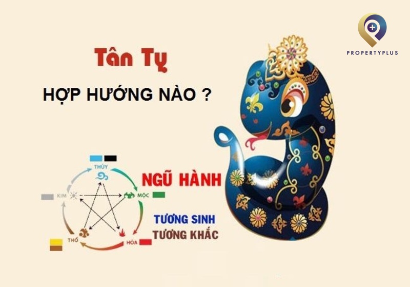 Tuổi Tân Tỵ Hợp Hướng Nào