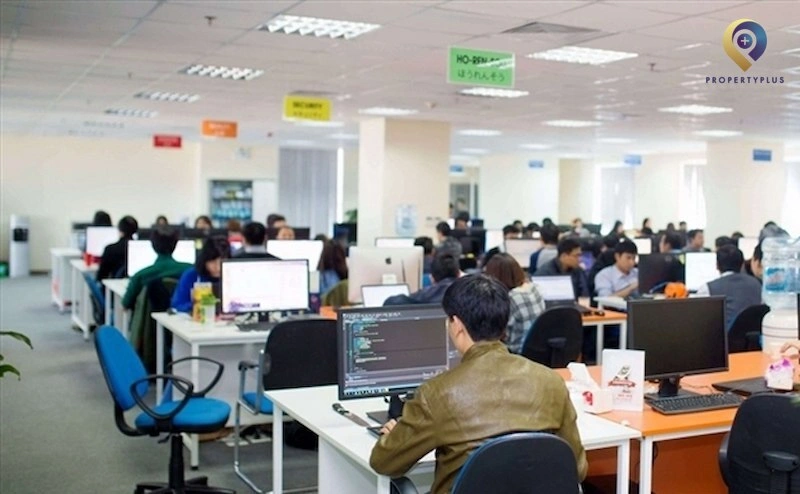  văn phòng cho ngành công nghệ thông tin&nbsp;