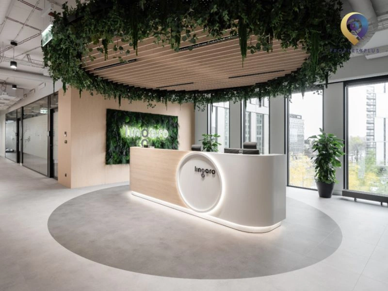 văn phòng chung lễ tân văn phòng chung lễ tân