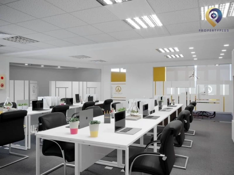 Phân tích giá thuê và diện tích phổ biến tại khu vực này