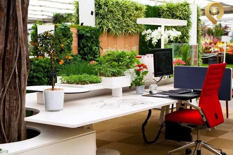 Trang Trí Văn Phòng Làm Việc Nhỏ Tại Nhà