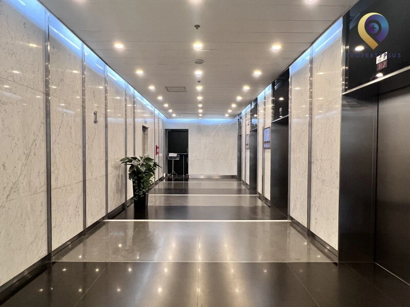 Tiềm năng phát triển