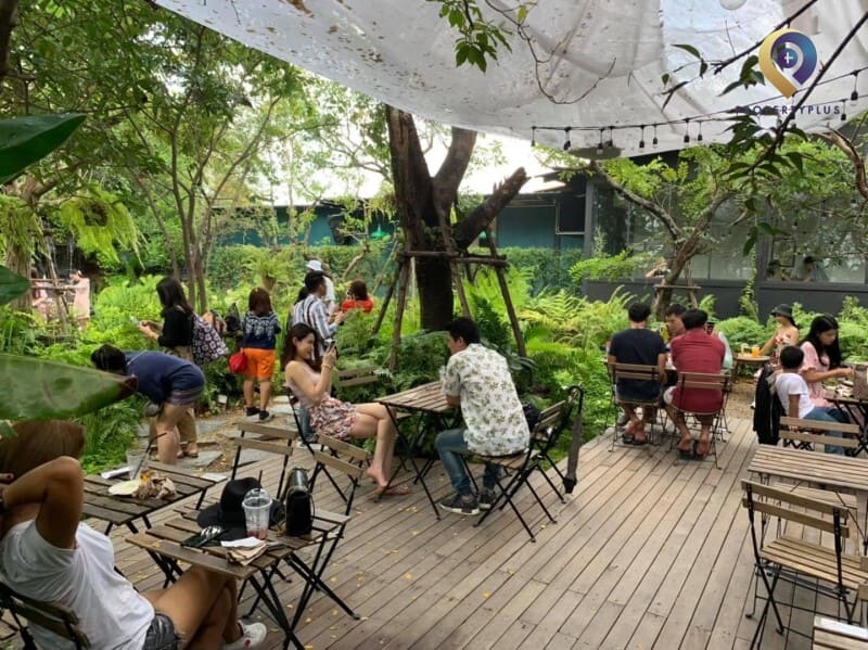 Có 100 triệu có nên kinh doanh ở nông thôn