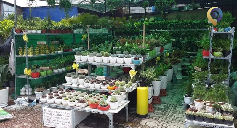 Ý tưởng khởi nghiệp kinh doanh